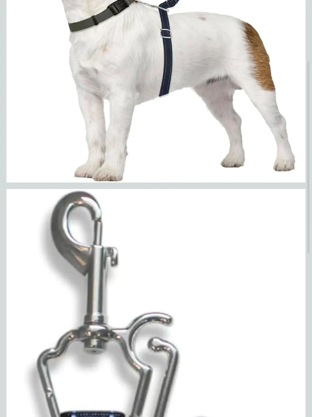 Thunderbird Brand leash easy main
